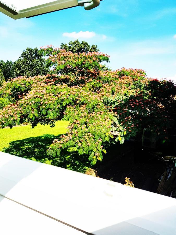 Charme & Caracteres De Campagne Villa Tinteniac ภายนอก รูปภาพ